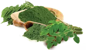 Alimentos funcionales Moringa 